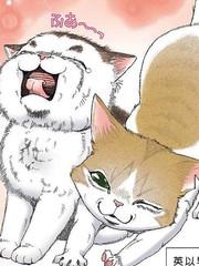 我家狗子捡到了两只奶猫漫画_banner