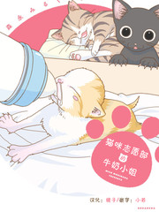 猫咪志愿者_banner