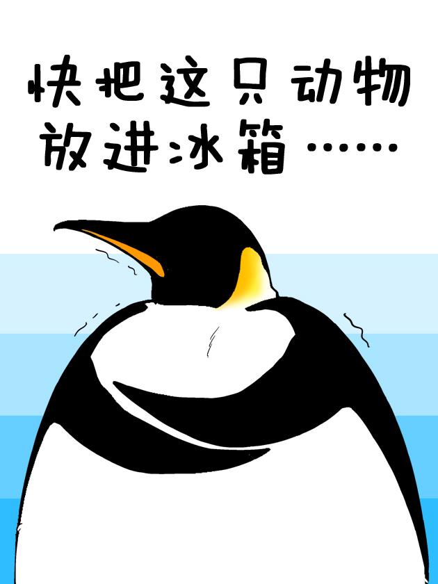 快把动物放进冰箱_banner