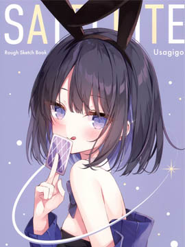 satellite的中文_banner