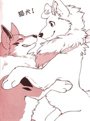 狐犬漫画内容_banner