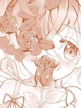 绽放的百合花_banner