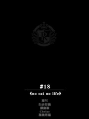 no cat no life_banner