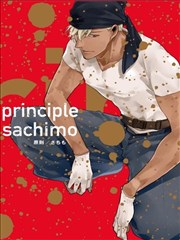 principle原则 动漫_banner