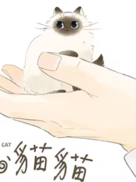 掌心猫猫_banner