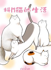 逗猫咪的时候它躺着咬你是为什么_banner