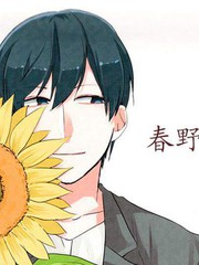 野菊花也有春天啥意思_banner