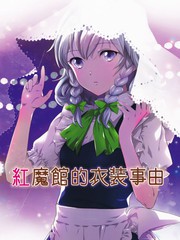 红魔馆生病的原因_banner