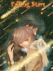 Falling stars_banner