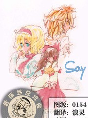 sayobot_banner