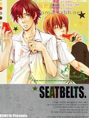 seatbelt啥意思_banner