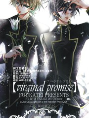 virginal promise_banner