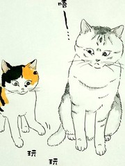 我讨厌猫咪_banner