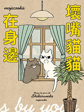 坏嘴猫猫在身边怎么回事_banner