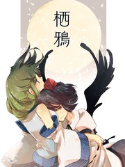 栖鸦杂货铺直播_banner