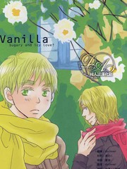 vanilla的特殊含义_banner