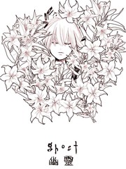 ghost 系统_banner