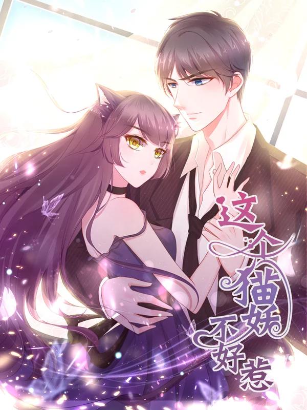 这个猫妖不好惹免费漫画_banner