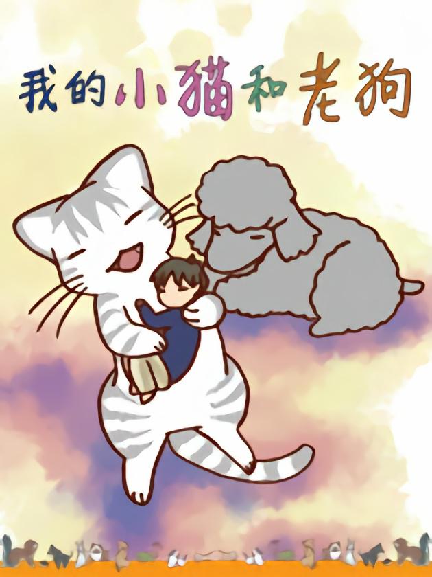 我的小猫和老狗