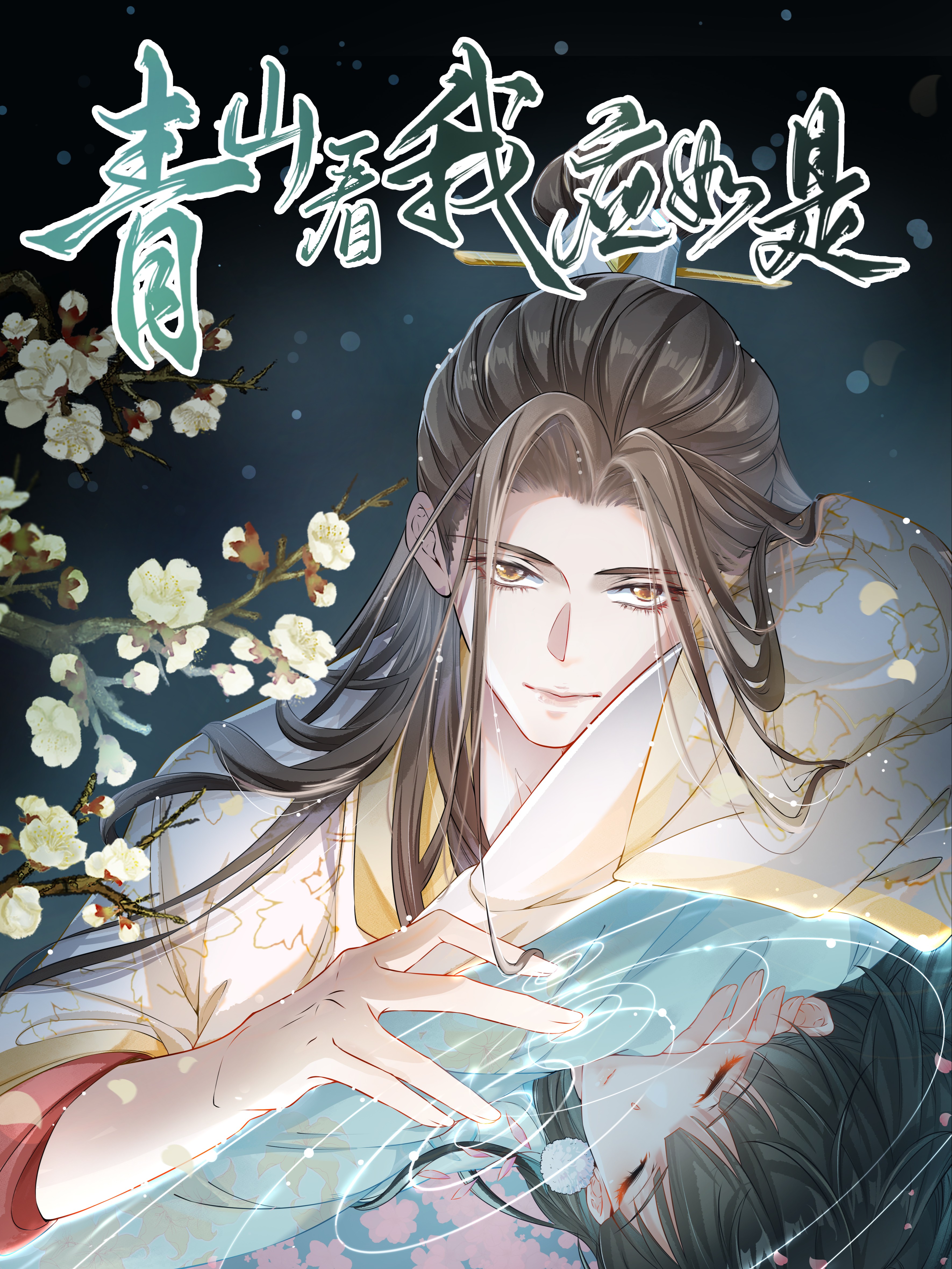 青山看我应如是广播剧完整版_banner