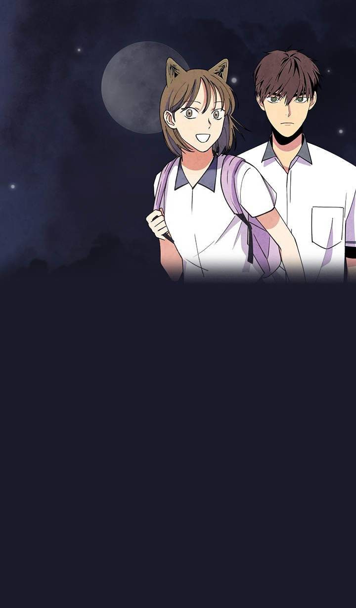 狼与小红帽的故事完整版_banner