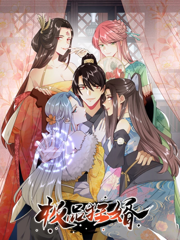 极品狂婿全集完整版_banner