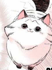 转生成猫的漫画_banner