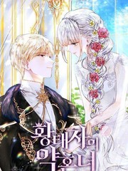 皇太子的未婚妻漫画全集_banner