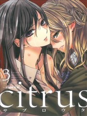 citrus~柑橘味香气哔哩哔哩_banner