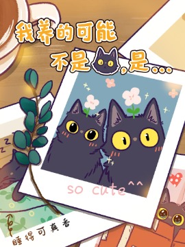 我怀疑我养的不是猫是狗_banner