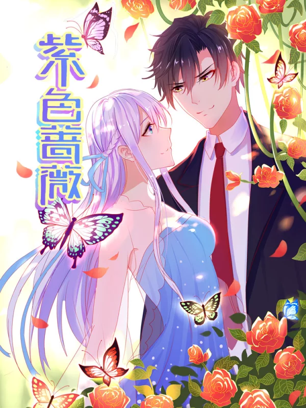 紫色蔷薇花图片_banner