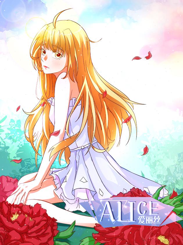 爱丽丝alice作品_banner