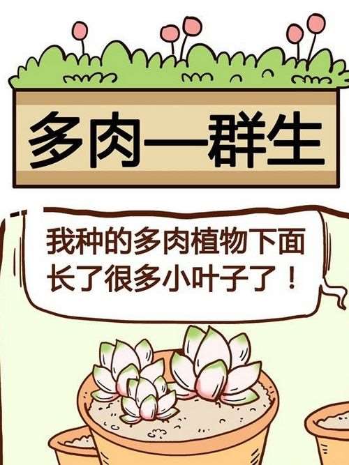 你对草本调肤了解多少呢