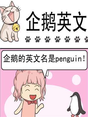 企鹅英文发音penguin_banner