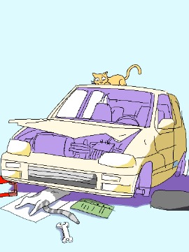 猫车事件后续大白_banner