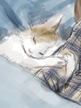 《会说话的猫》_banner