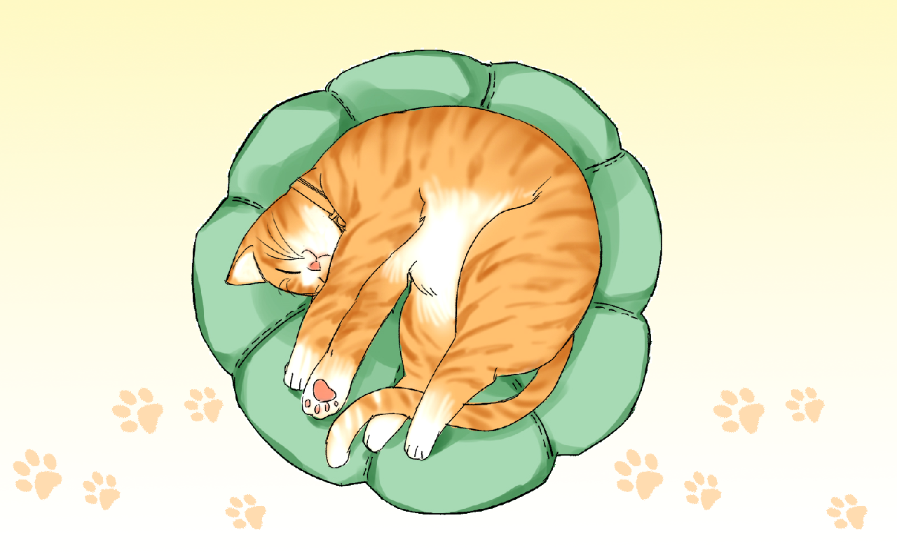 藏猫猫_banner