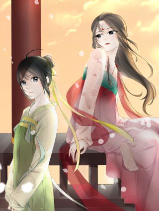 芭蕉芋图片_banner