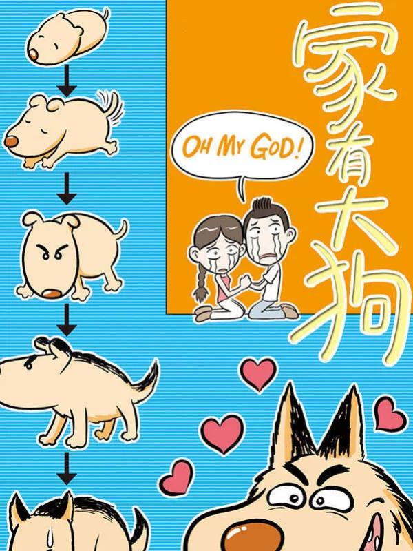 家有大猫虎爷肉图_banner