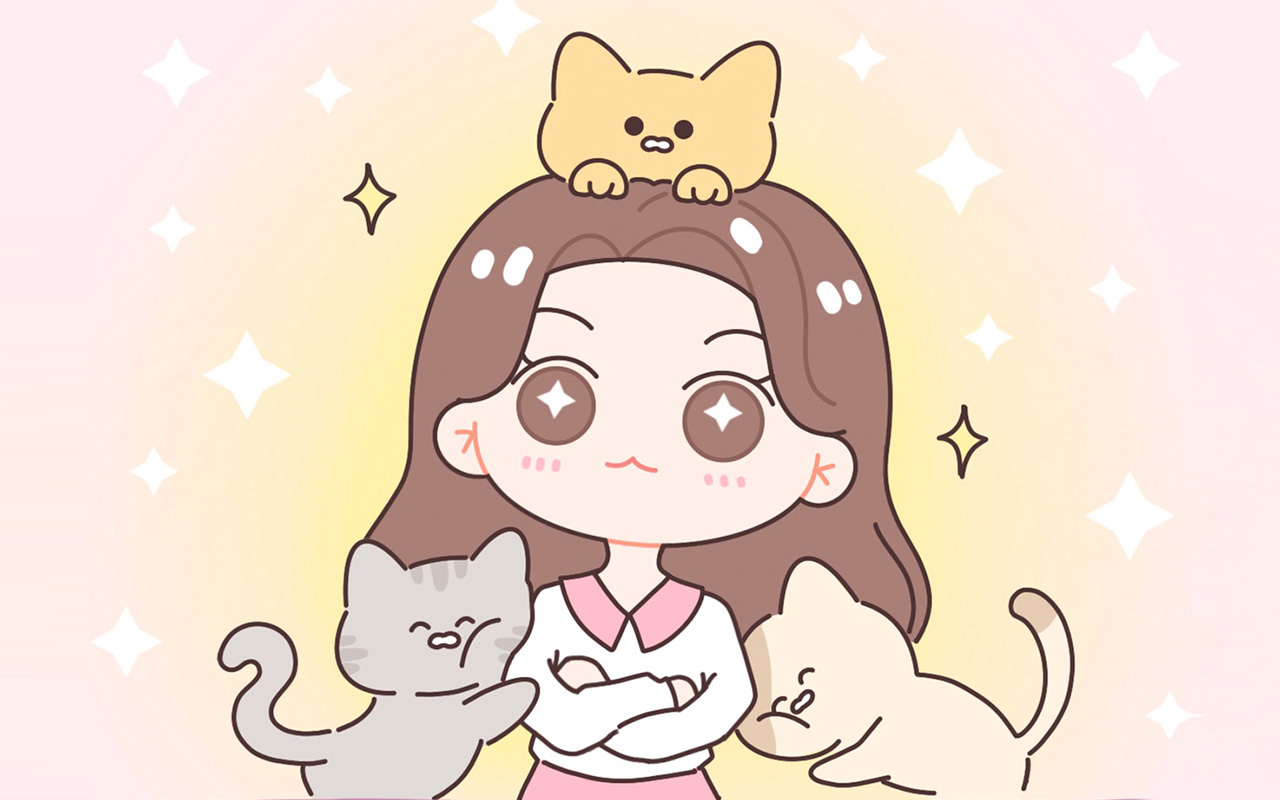 猫为什么不玩_banner