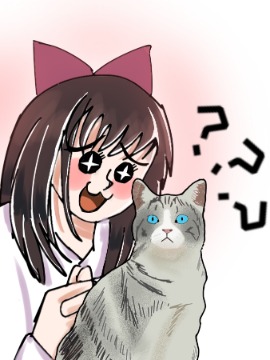 猫警长动画_banner