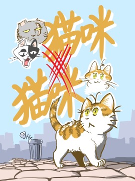 猫咪喜欢吃什么_banner