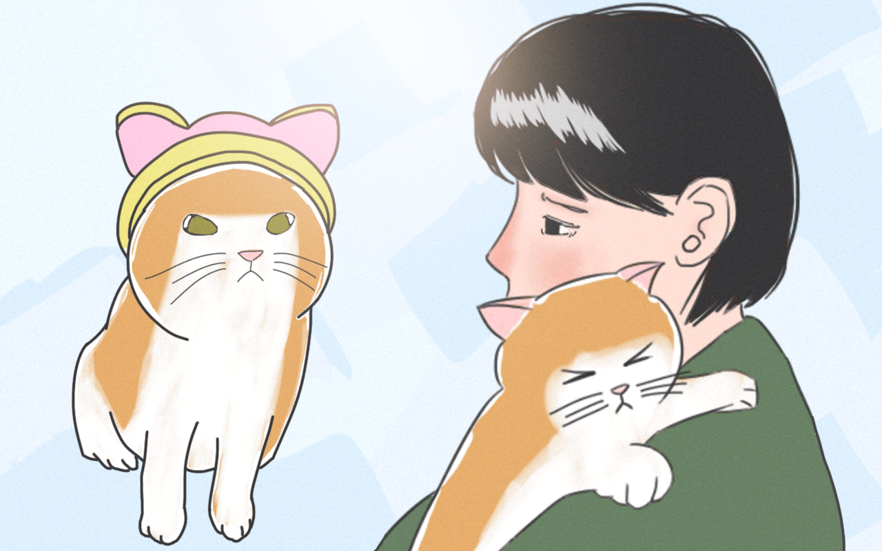 我捡到的流浪猫_banner