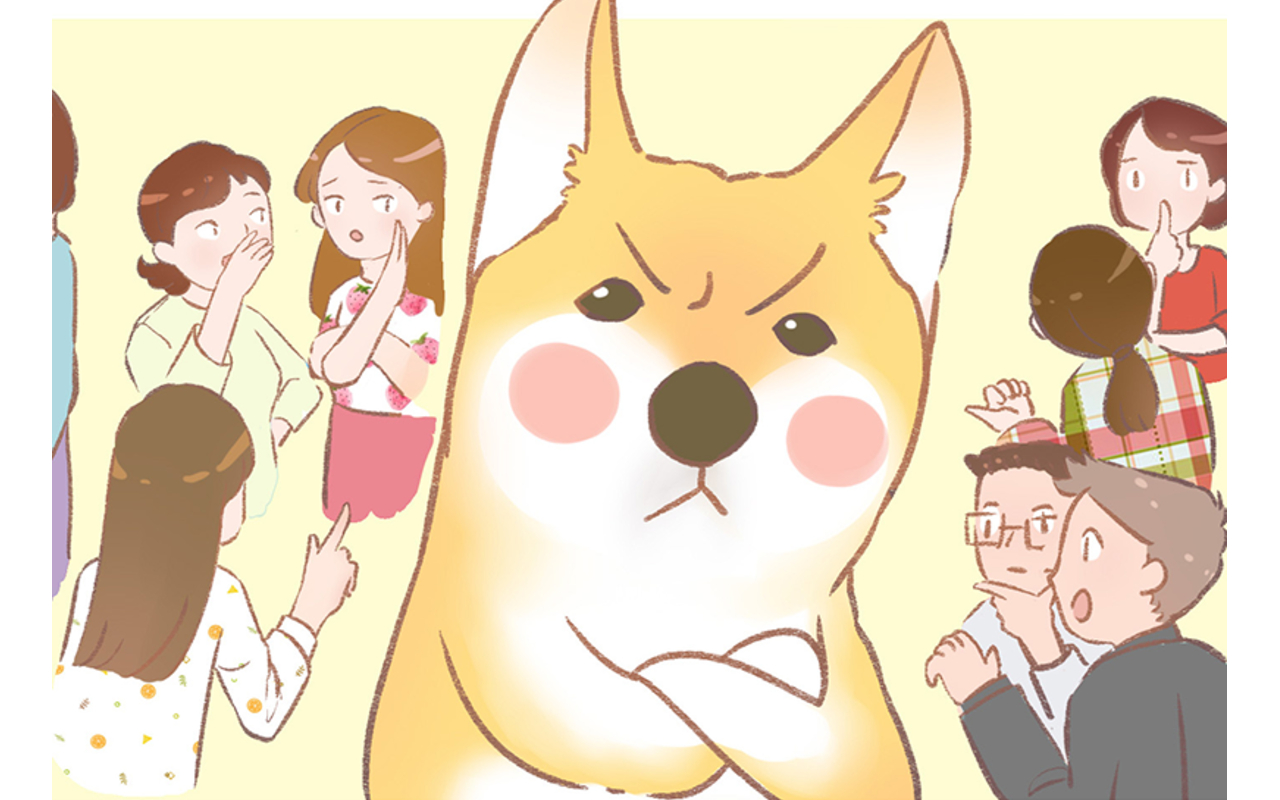 程序员女朋友有多累_banner