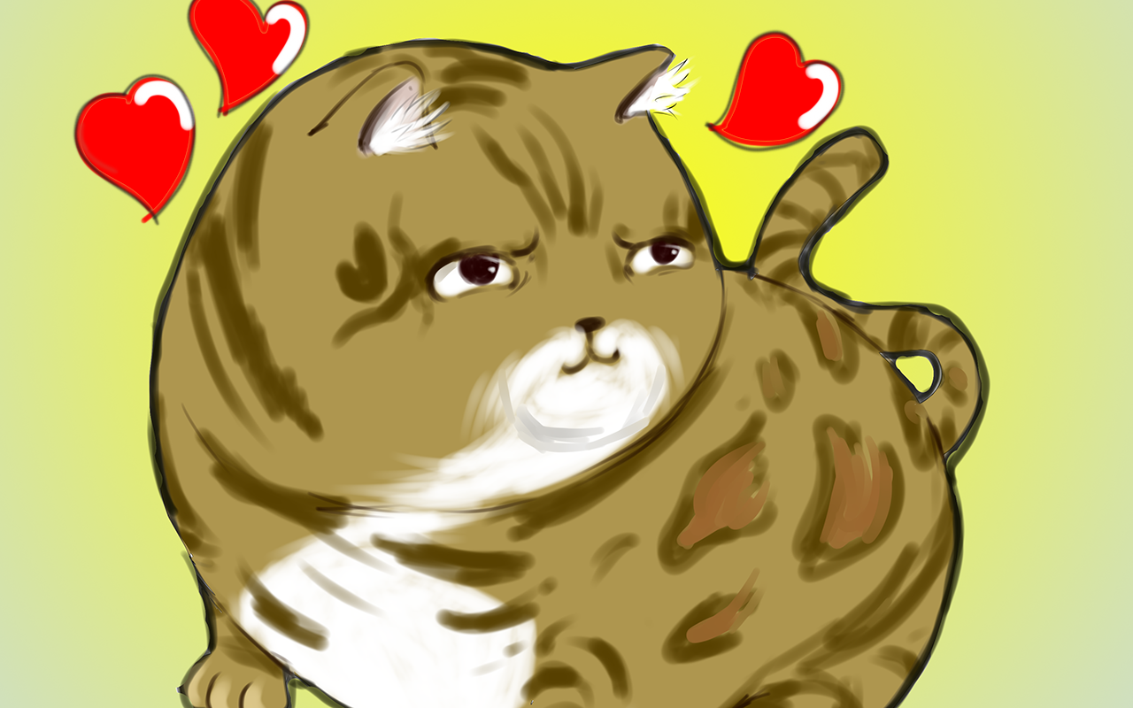 要抱豹猫_banner