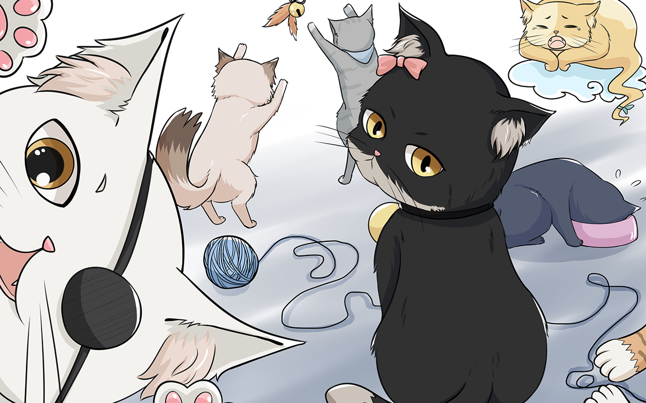 狸花猫多少钱一只_banner