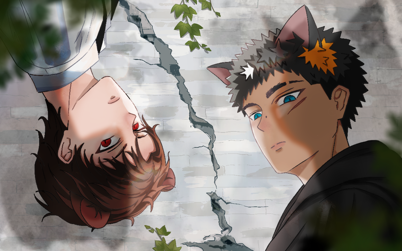 31只猫_banner